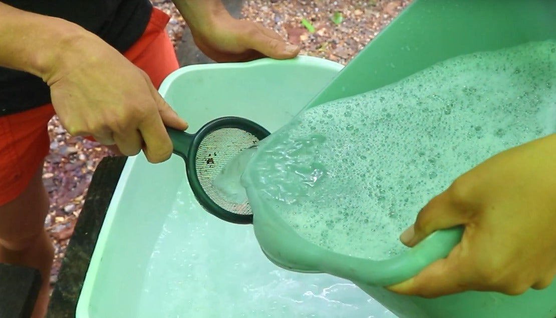Hands pouring soapy wastewater from a tub through a strainer